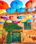 Colorful Canopy
